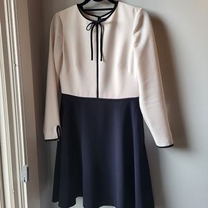 Ted Baker Skater style navy and white dress